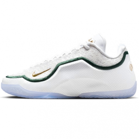 Nike LeBron 23 From This Point Forward