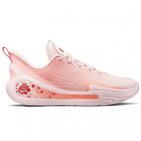 Curry 12 Sakura